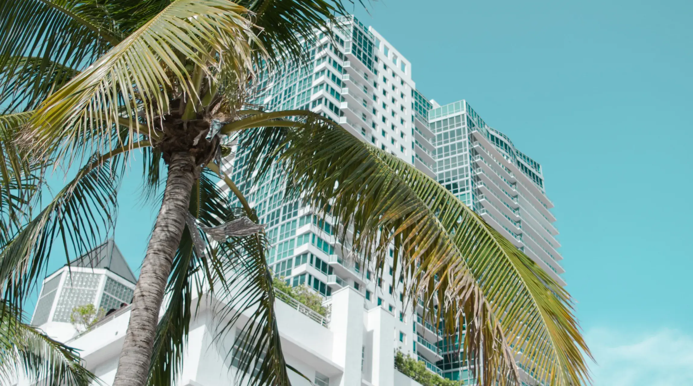 Miami Real Estate Snapshot - August 2023